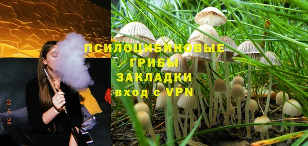 трава Верхнеуральск
